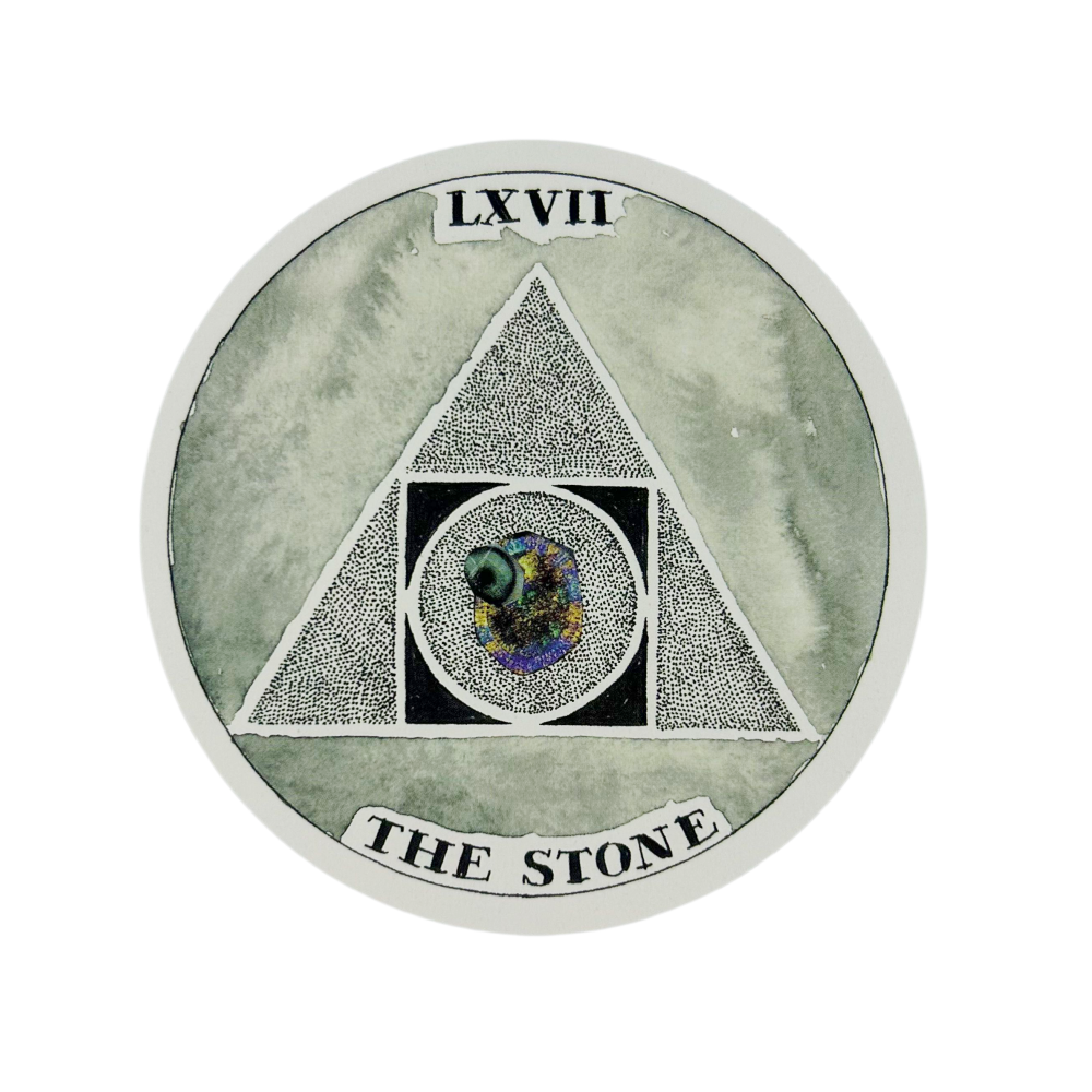Wild Unknown Oracle Cards Taro - Board Game Wild Wild 리뷰 및 가격