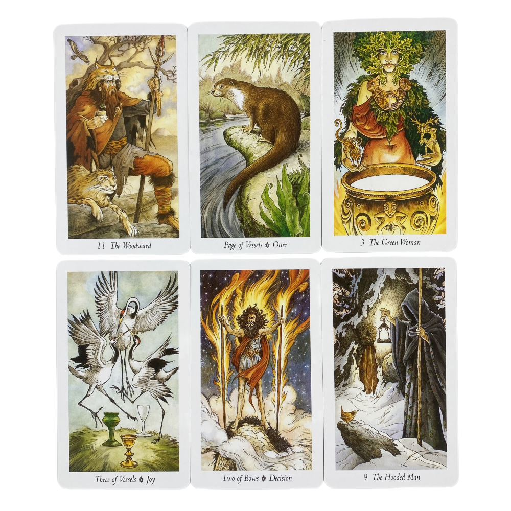 The Wild Wood Tarot Cards A 78 - Board Game Wild Wild 리뷰 및 가격
